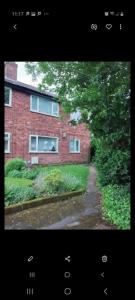 Veggie single room NEC