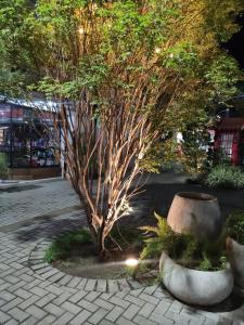 Aconchego I - Centro