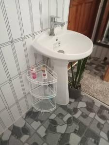 Cozy breezing countryside Pet