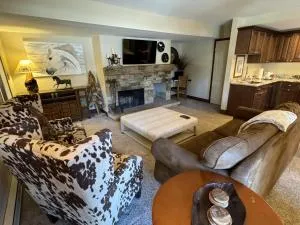 Beautiful Renovated 3BR in Keystone condo - Montezuma