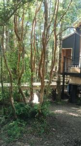 Cabaña en molco,entre Villarrica y Pucón