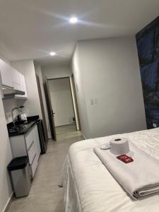 Hermoso aparta estudio tipo loft