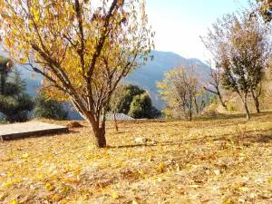 Banjara House - Kotgarh