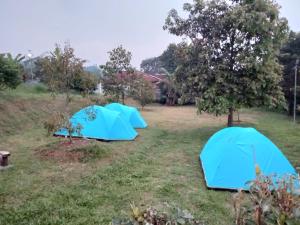 Kebun Teduh Sukaharja Cijeruk Bogor