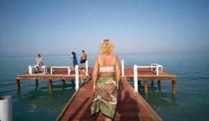 Fox House Resort Apartment