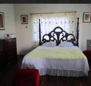 Hayleys Paradise Limited