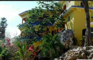 Hayleys Paradise Limited