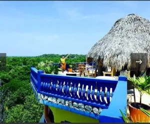 Hayley's Paradise Limited - Revival