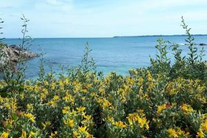 Appartements Pieds Dans L'Eau T2 Archi Cosy - Vue mer 180 : Appartement 1 Chambre