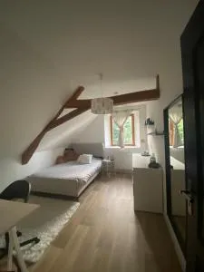 Maison proche circuit le Mans - 米萨讷