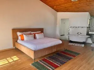 Guesthouse Oaktree fourways - Four Ways