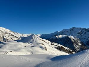 Appartements Le Bellevue T3 - Orcieres Merlette : photos des chambres