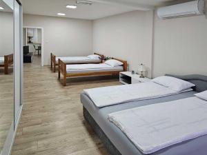 Apartman LENI2 u centru Zajecara