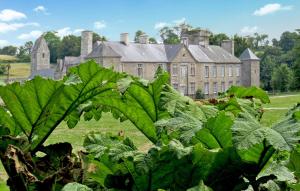 Maisons de vacances Beautiful Home In Gonneville-Le-Theil : photos des chambres