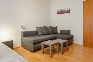 Apartment Piesendorf XL