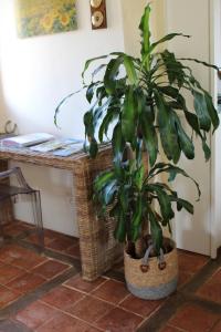 Maisons de vacances Gite Bimienthus te Beaumont en Perigord Dordogne : photos des chambres