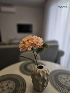 Green apartments by Monto