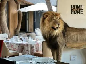 Simba Safaris African Pride Exotic Lodge - Marnitz