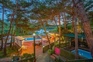 Hoengseong Marshmallow Pool Villa pets allowed - 横城