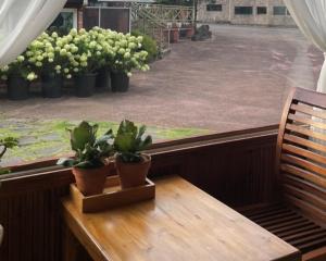 Jeju Songdangsongdang Pension and Resort