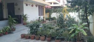 Executive Stay for Tourists & Spiritual Travelers