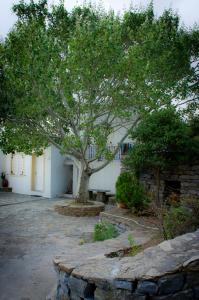 Aiolos Hotel Andros Andros Greece