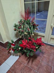 NOBLES APARTMENT 4****