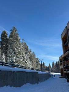 Kokhta-Mitarbi Resort, Apartment B3,206
