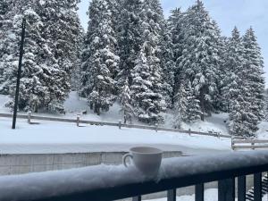 Kokhta-Mitarbi Resort, Apartment B3,206
