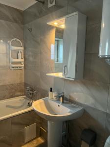 Котедж Шум Черемоша на березі річки