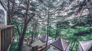 Hoengseong Couple Star in Porest Pension