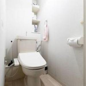 民泊の帝王 道頓堀東 511