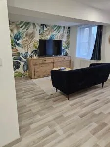 Appartement T2 cosy à 5min à pieds de la gare - 瓦朗西纳