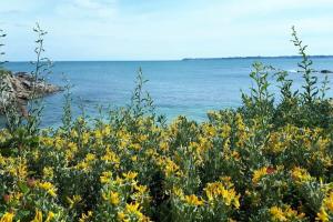 Appartements Superbe T3 Cosy Vue mer 180 : photos des chambres