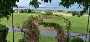 Seesicht und charmante Wohnung bei Hanni und Ueli