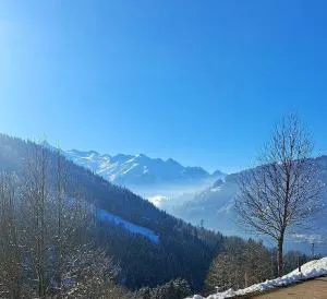 Jagahäusl - Thumersbach