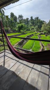 hornbill river cottage udawalwa