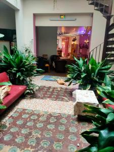 Hotels hotel saint fracois xavier : photos des chambres