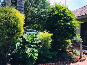 La Gracia Guesthouse