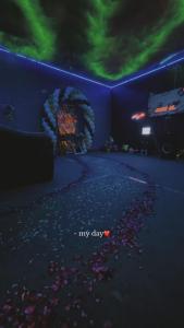 Dim Delights