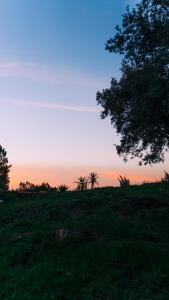 Glamping Balú