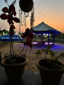 Turtle Beach House with free breakfast & wifi