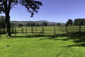 The Dog Kennels - Unrated properties in Leyburn