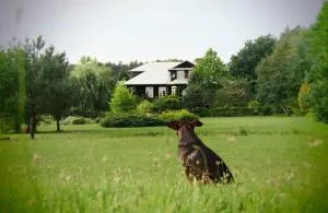 Alpakarium, Hodowla alpak & pensjonat - Korczew