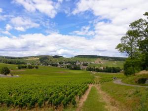 Maisons de vacances Gite La Petite Maison - au coeur des vignes - Mercurey : photos des chambres