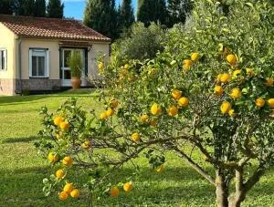 Casita Cacahuete - Olvera