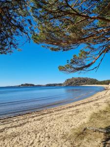 Leilighet rett ved stranden