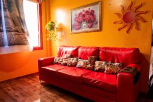 Vista Panorâmica No Centro RJ