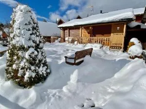 Confortable Chalet pie des pistes Pyrénées 2000 - 布齐耶比利牛斯2000