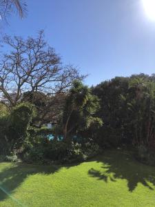 Green Point Kiffness